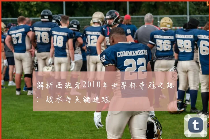 解析西班牙2010年世界杯夺冠之路：战术与关键进球