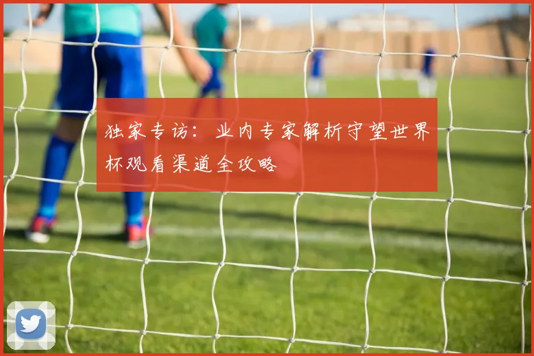 独家专访:业内专家解析守望世界杯观看渠道全攻略