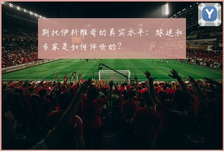 斯托伊科维奇的真实水平：球迷和专家是如何评价的？