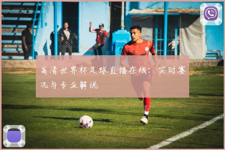 高清世界杯足球直播在线：实时赛况与专业解说