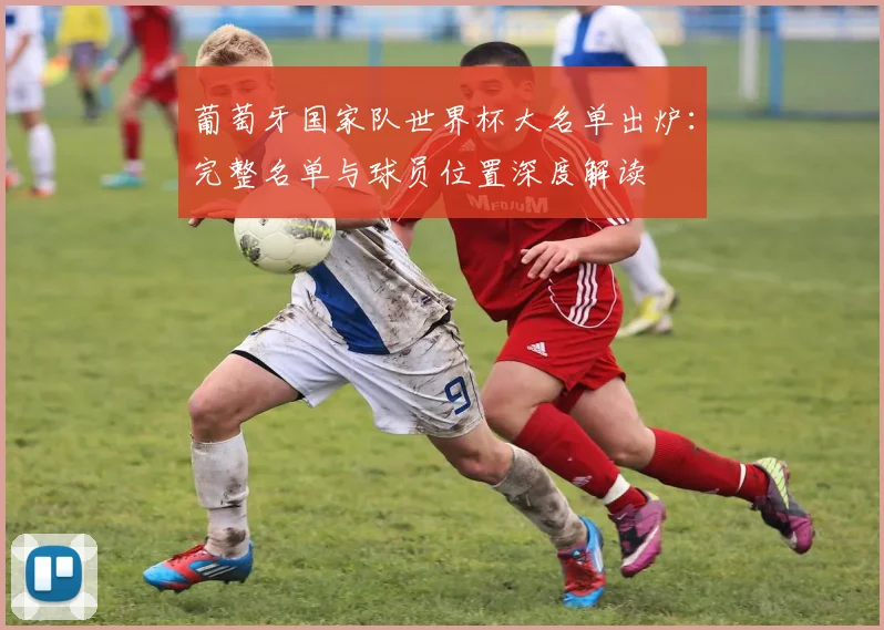 葡萄牙国家队世界杯大名单出炉：完整名单与球员位置深度解读