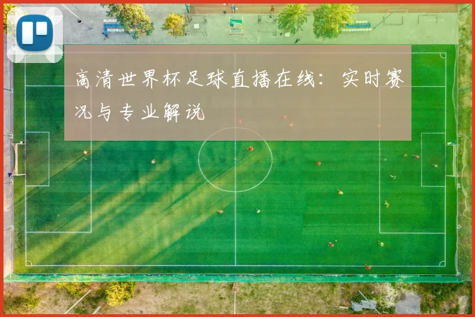 高清世界杯足球直播在线：实时赛况与专业解说