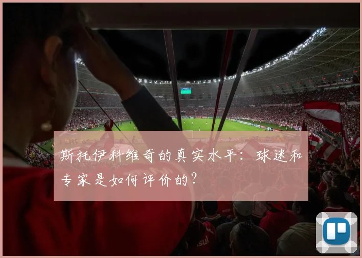 斯托伊科维奇的真实水平：球迷和专家是如何评价的？