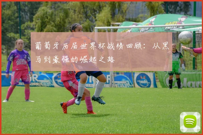 葡萄牙历届世界杯战绩回顾：从黑马到豪强的崛起之路
