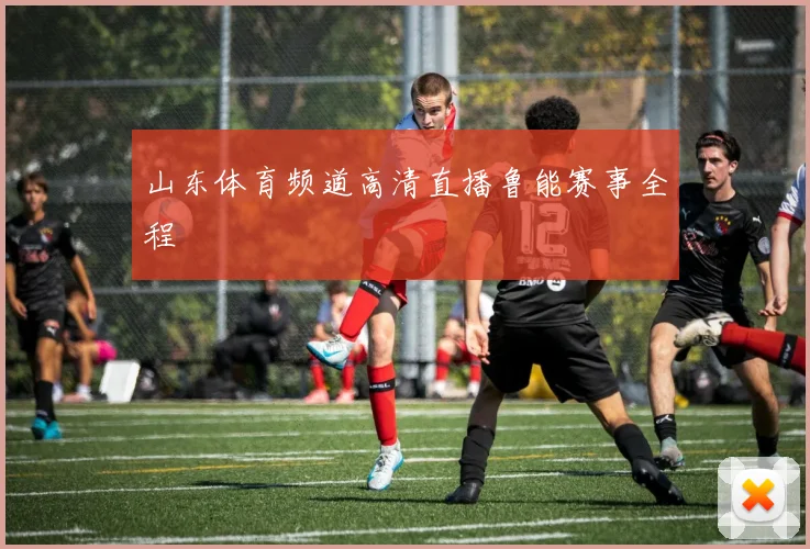 山东体育频道高清直播鲁能赛事全程