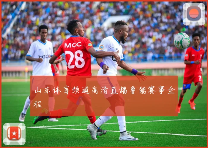 山东体育频道高清直播鲁能赛事全程