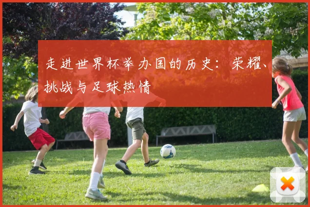 走进世界杯举办国的历史：荣耀、挑战与足球热情